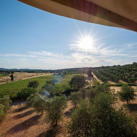 Hotel Glamping Podere San Jacopo Massa Marittima Esterno foto