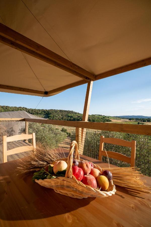 Hotel Glamping Podere San Jacopo Massa Marittima Esterno foto