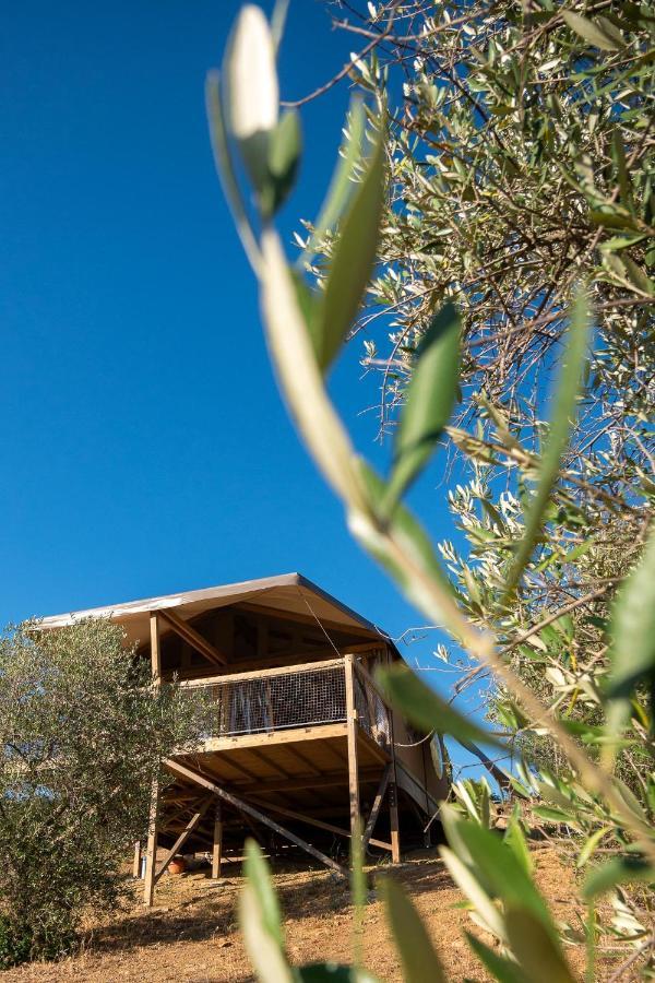 Hotel Glamping Podere San Jacopo Massa Marittima Esterno foto